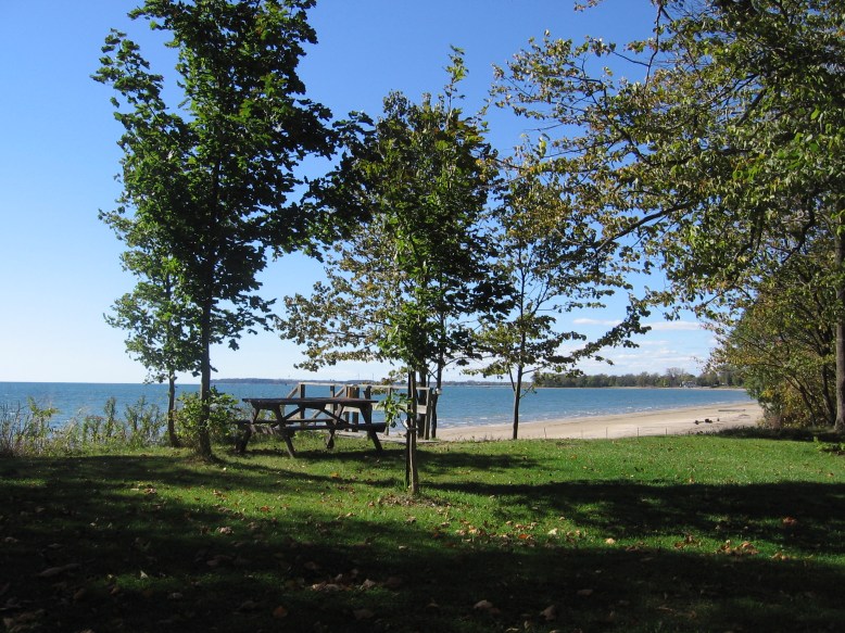 The view from the living room window!