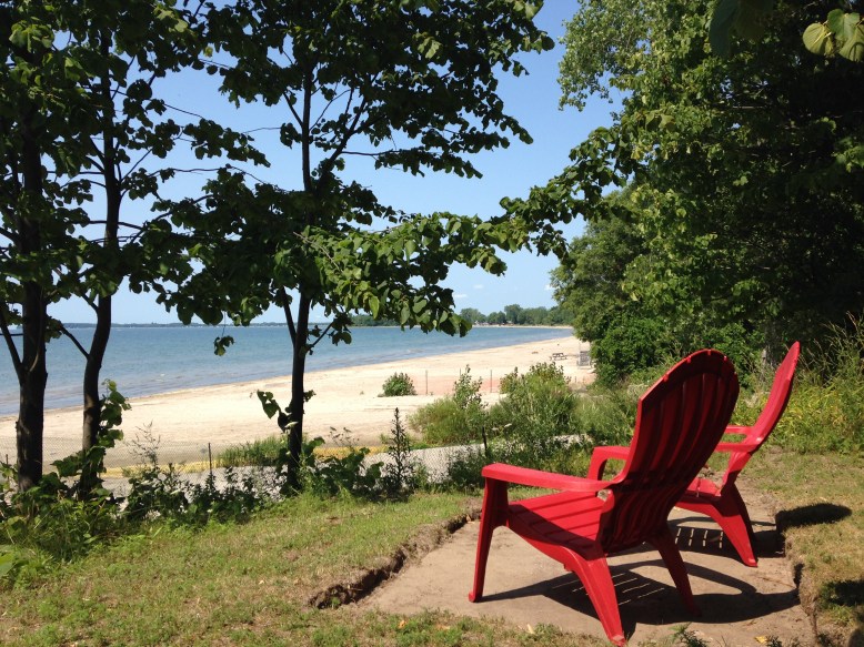 Enjoy the view of the lake from the bank!